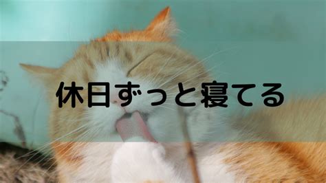 休日 寝て終わる 原因 ～なぜ私たちは休日に寝てしまうのか？～